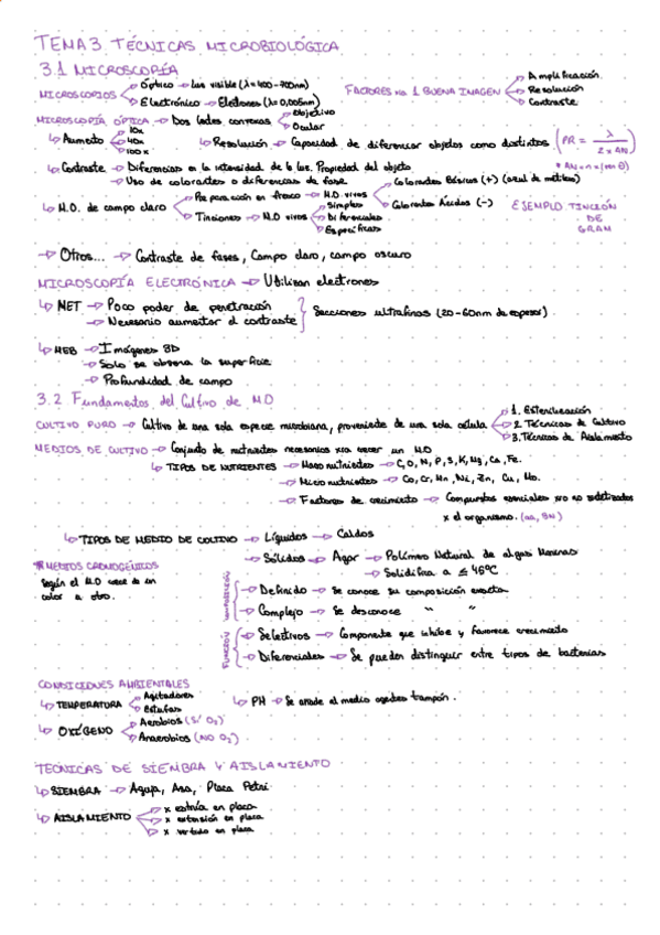 Miniatura del documento TEMA-3.pdf