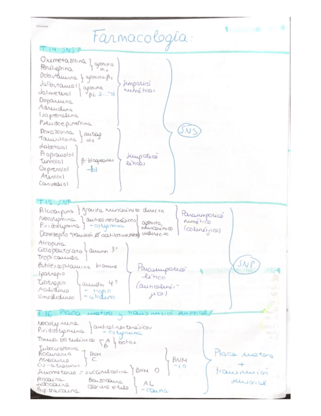 Miniatura del documento lista-farmacos.pdf