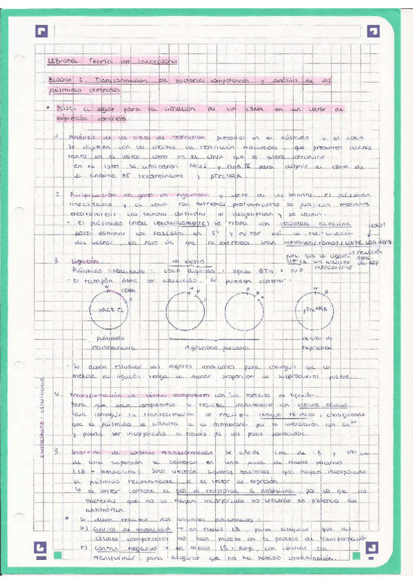 Miniatura del documento Teoria-LiBiotec.pdf