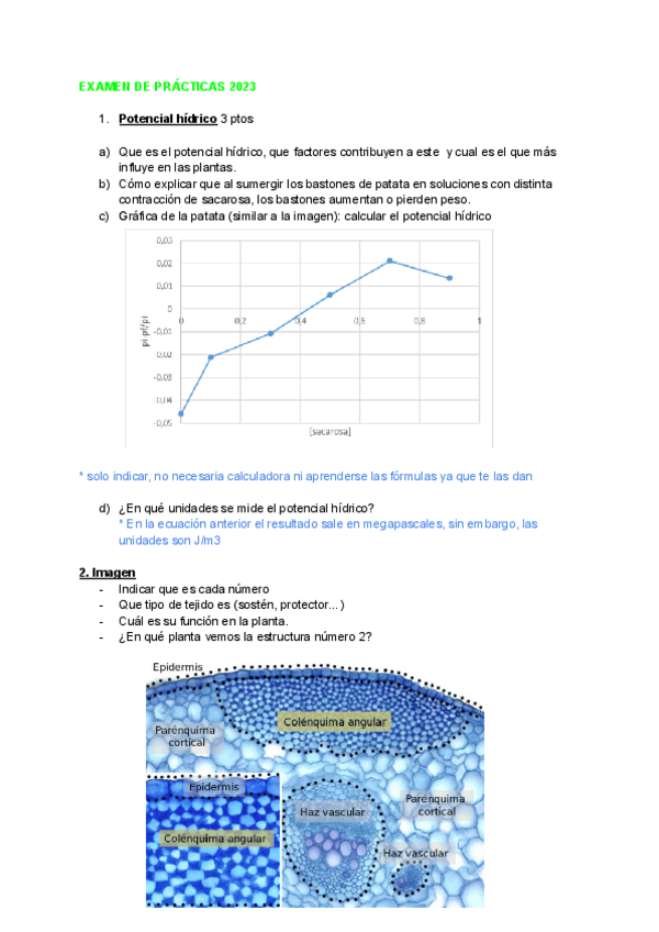 Miniatura del documento Exam-practicas-2023.pdf