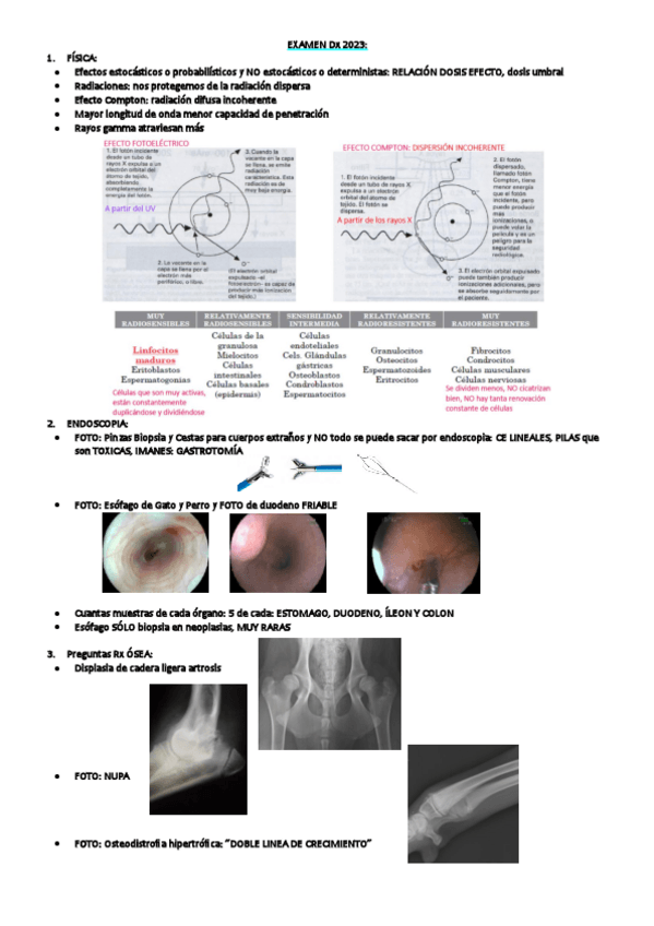 Miniatura del documento EXAMS-Dx-2023.pdf