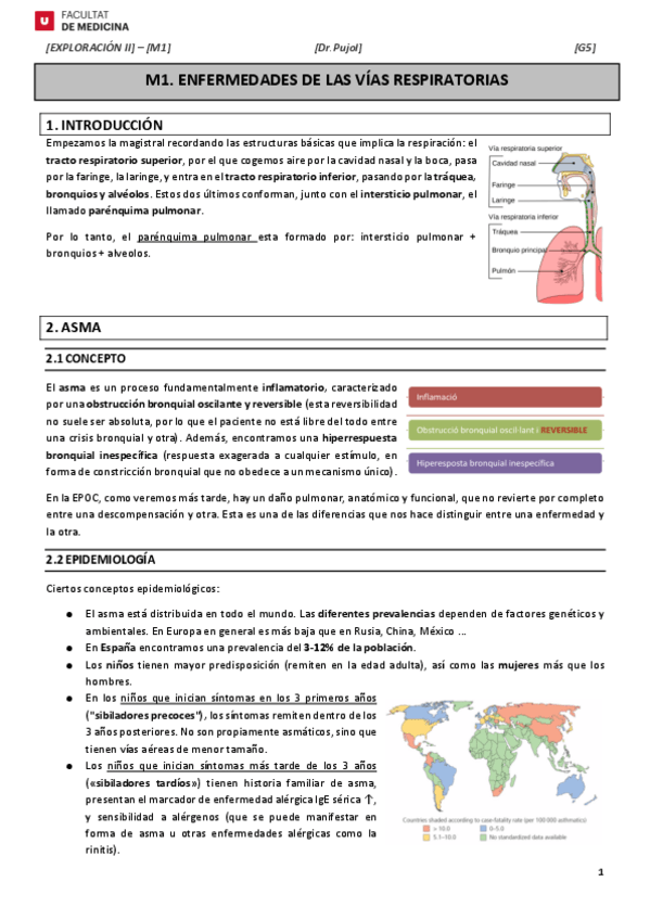 Miniatura del documento M1-ENFERMEDADES-DE-LS-VIAS-RESPIRATORIAS.pdf