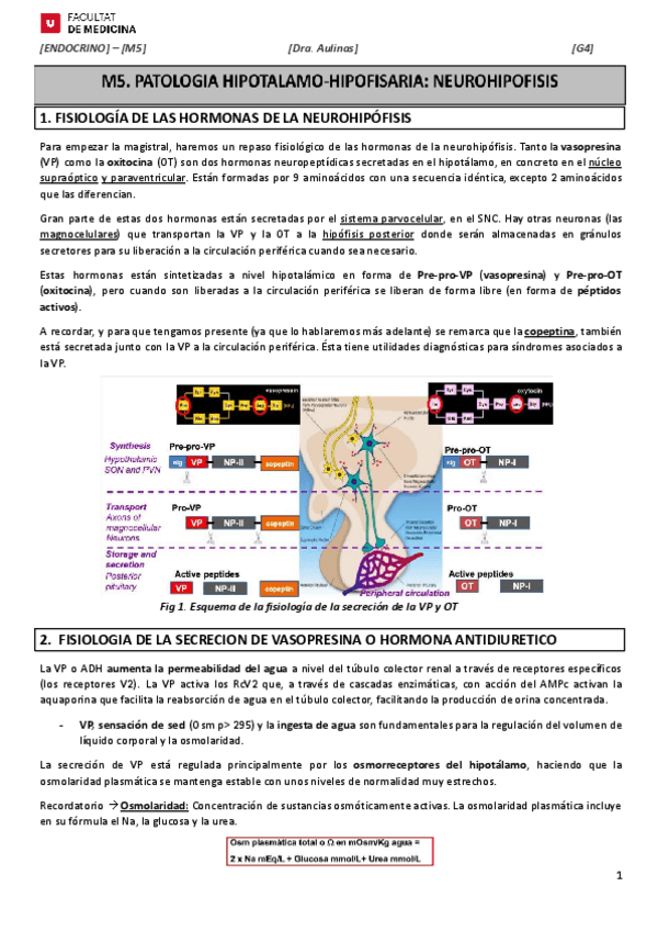 Miniatura del documento M5.docx-1.pdf