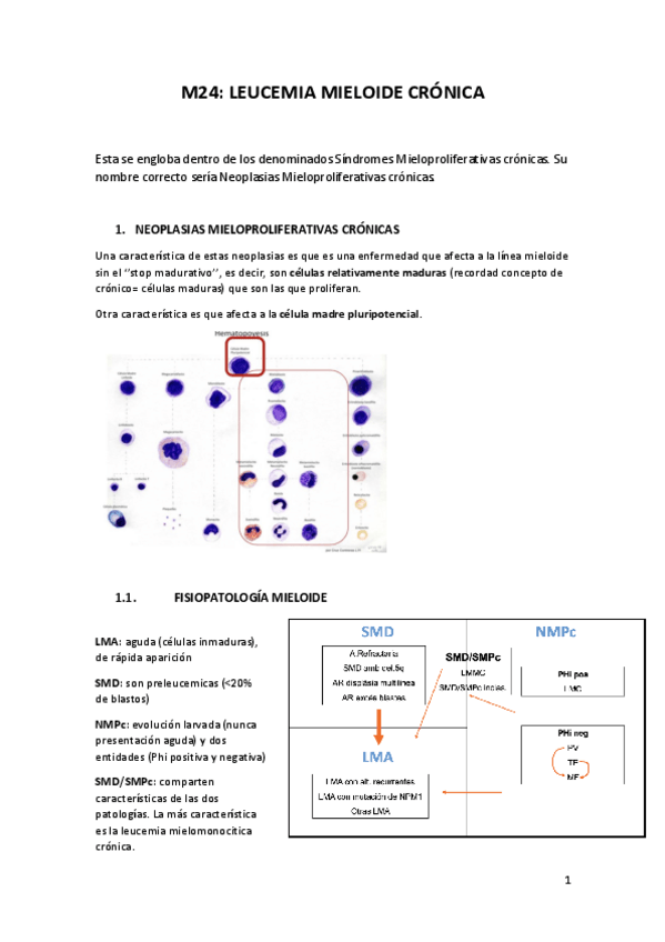 Miniatura del documento M24.pdf