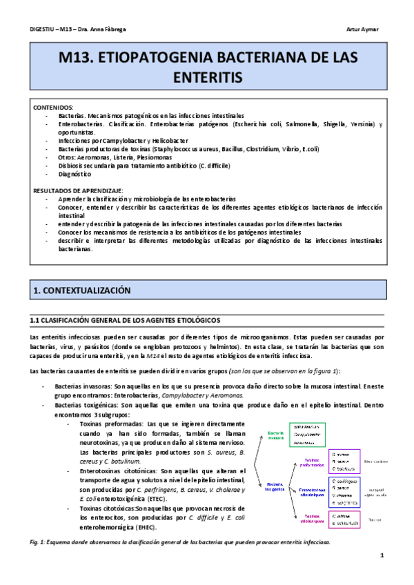 Miniatura del documento M13.-ETIOPATOGENIA-BACTERIANA-DE-LES-ENTERITIS-Cast-2.pdf