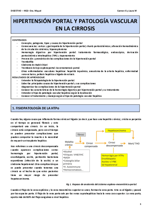 Miniatura del documento M22HTAPo.pdf