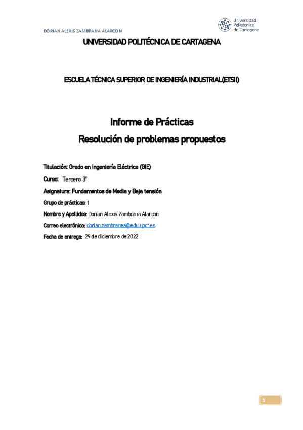 Miniatura del documento Informe-de-Practicas.pdf