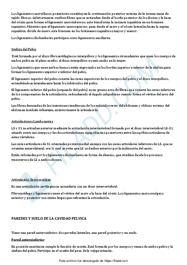 Miniatura del documento Anatomia-04merged-4.pdf