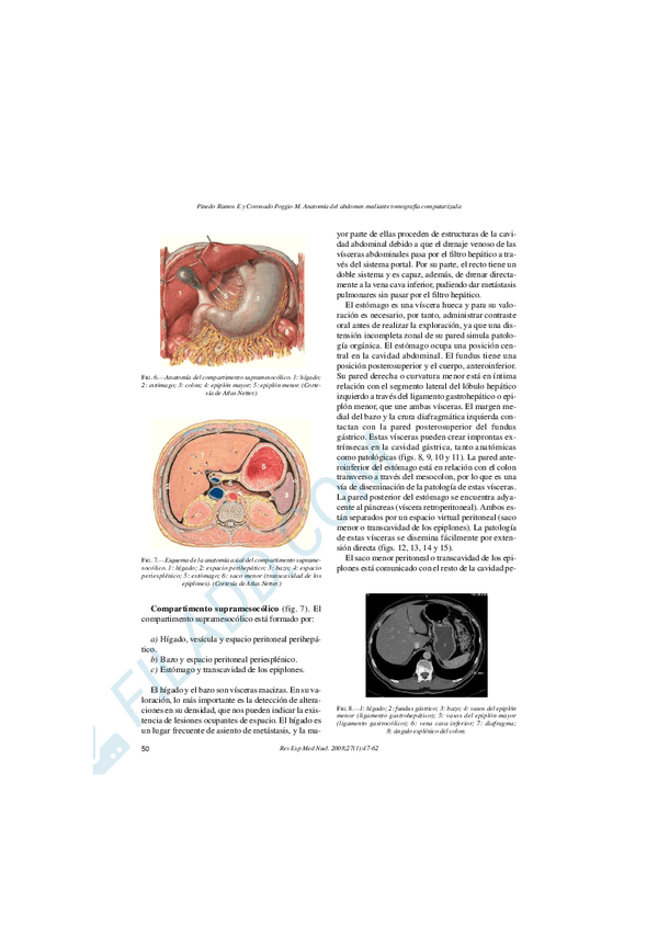 Miniatura del documento Anatomia-04merged-6.pdf