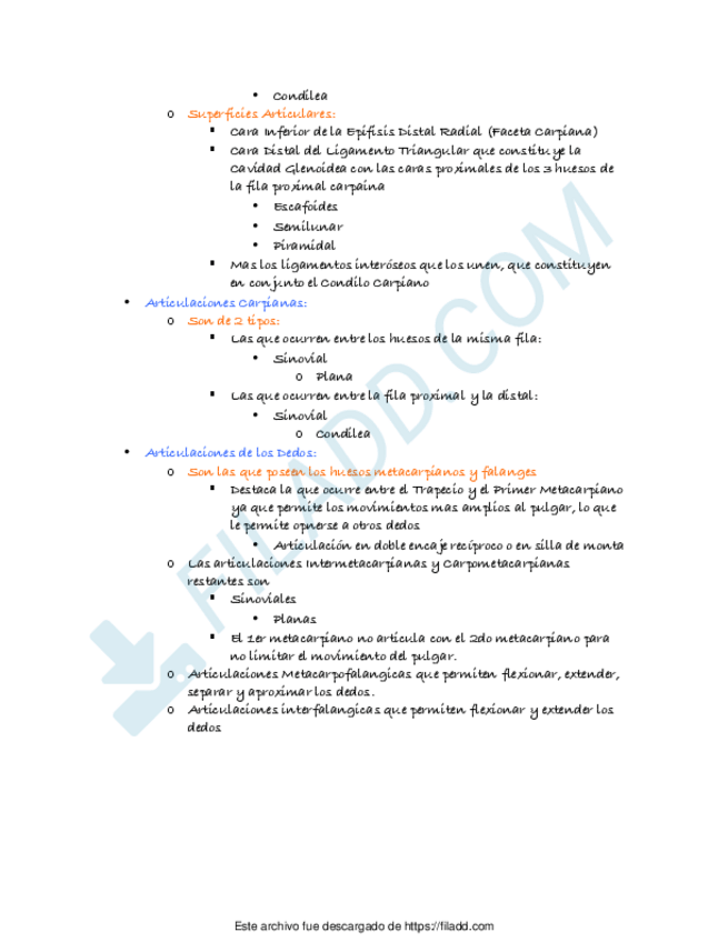 Miniatura del documento Anatomia-04merged-7.pdf