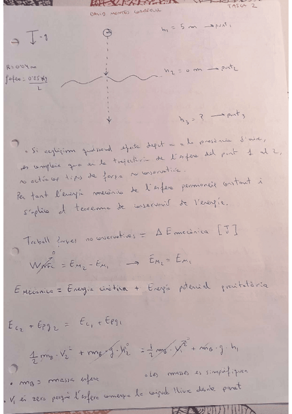 Miniatura del documento Tasca-2-Fisica-1.pdf