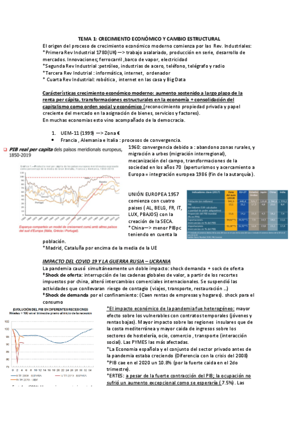 Miniatura del documento ECONOMIA-ESPANOLA.pdf
