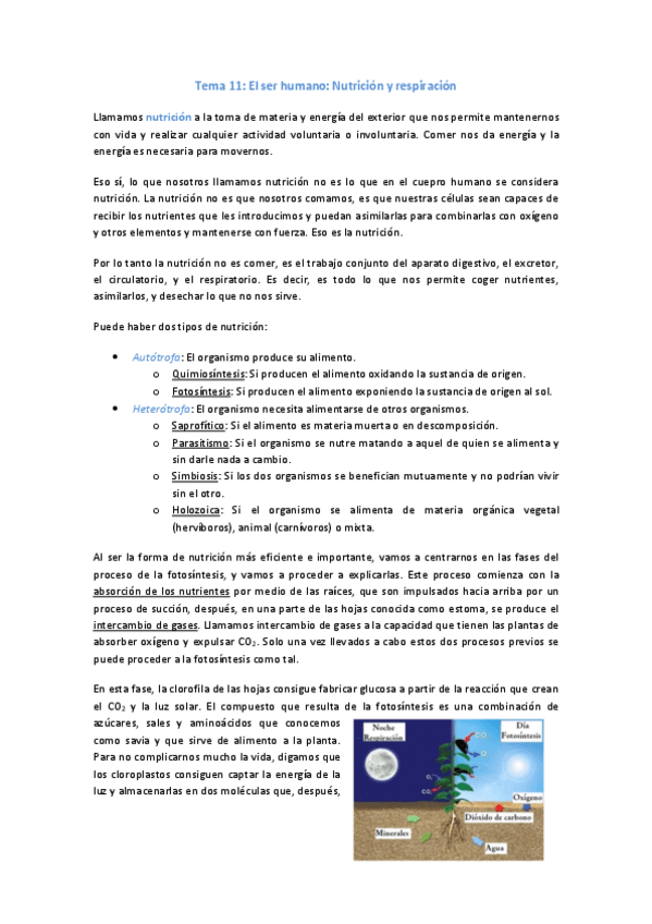 Miniatura del documento Tema-11.pdf