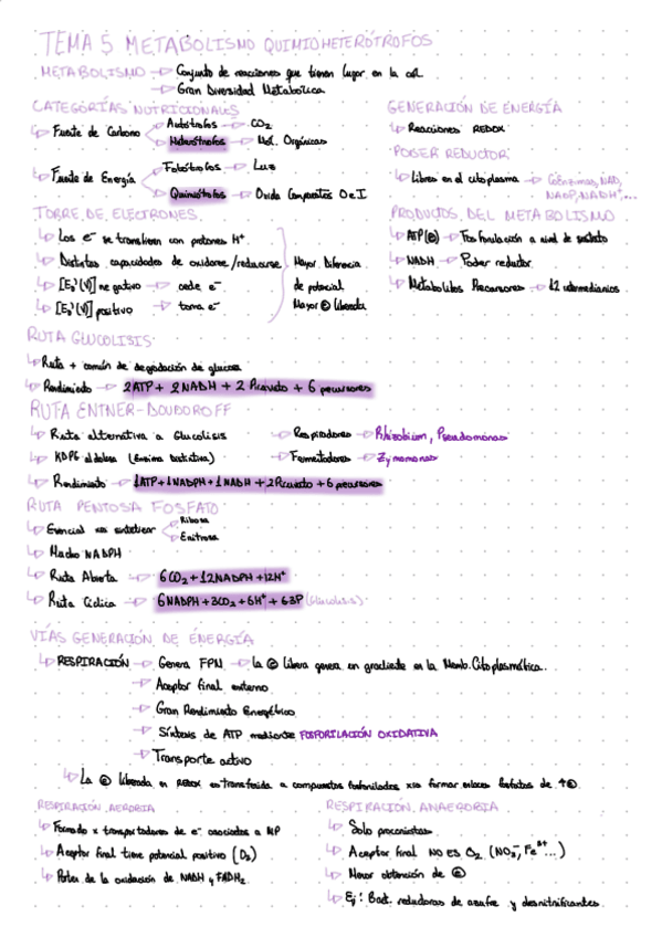 Miniatura del documento TEMA-5..pdf