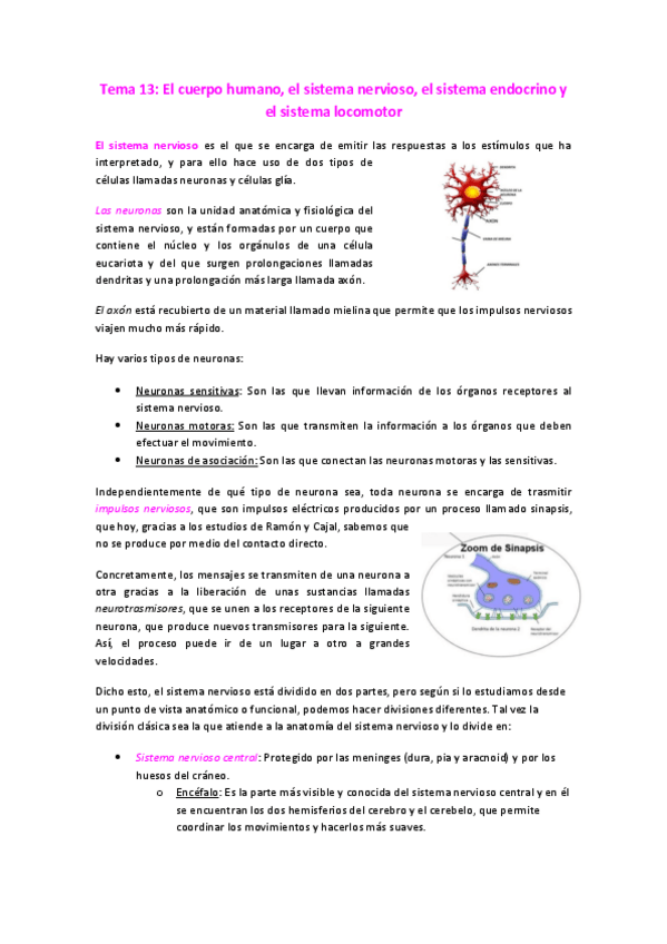 Miniatura del documento Tema-13.pdf