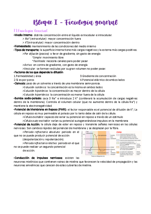Miniatura del documento Resumen-Bloque-1-EYFCH-I.pdf