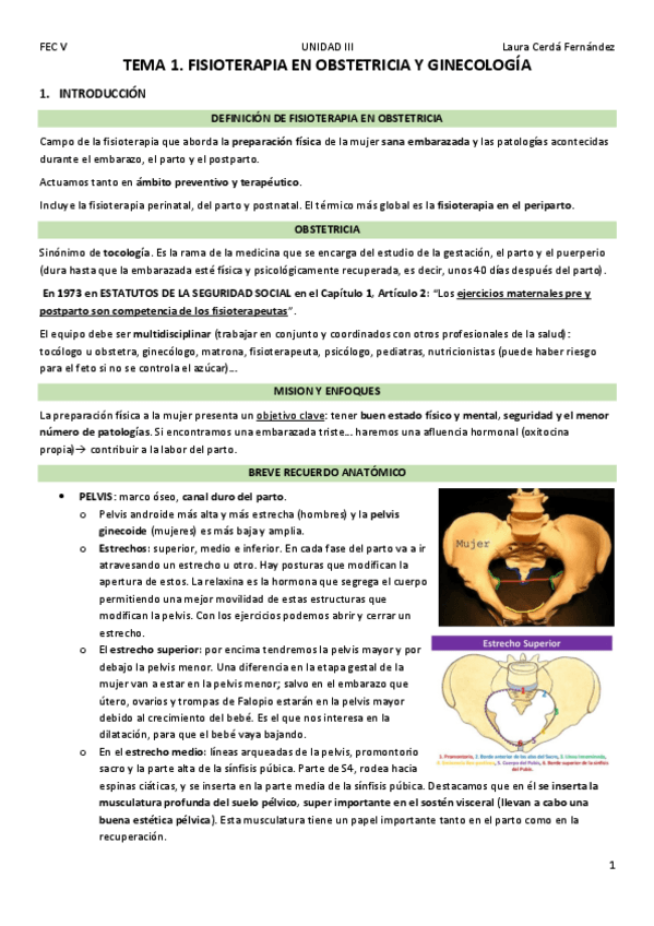 Miniatura del documento TEMA-1-FISIOTERAPIA-EN-OBSTETRICIA-Y-GINECOLOGIA.pdf