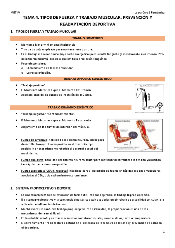 Miniatura del documento TEMA-4.-TIPOS-DE-FUERZA-Y-TRABAJO-MUSCULAR.-PREVENCION-Y-READAPTACION-DEPORTIVA.pdf