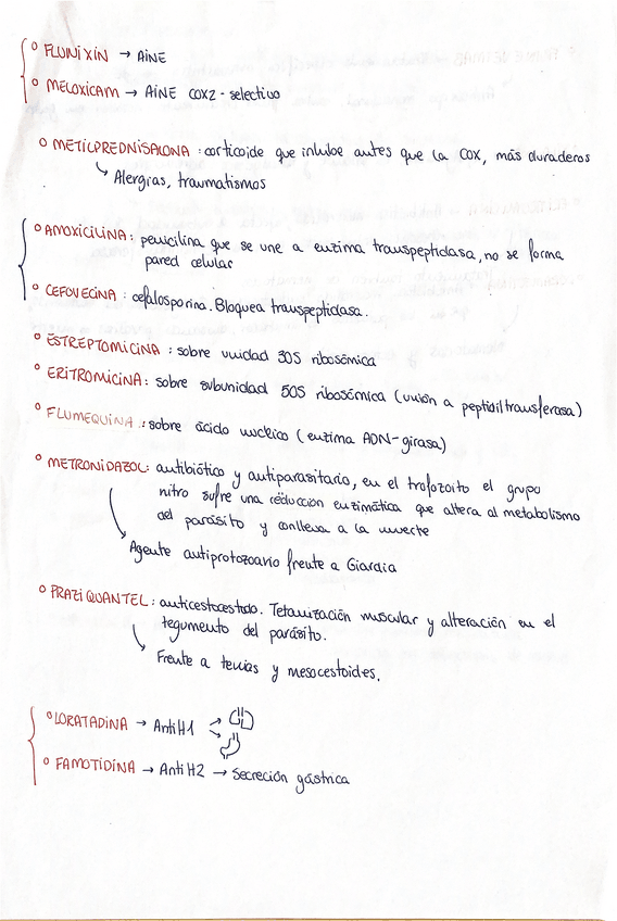 Miniatura del documento Lista-medicamentos-farma.pdf