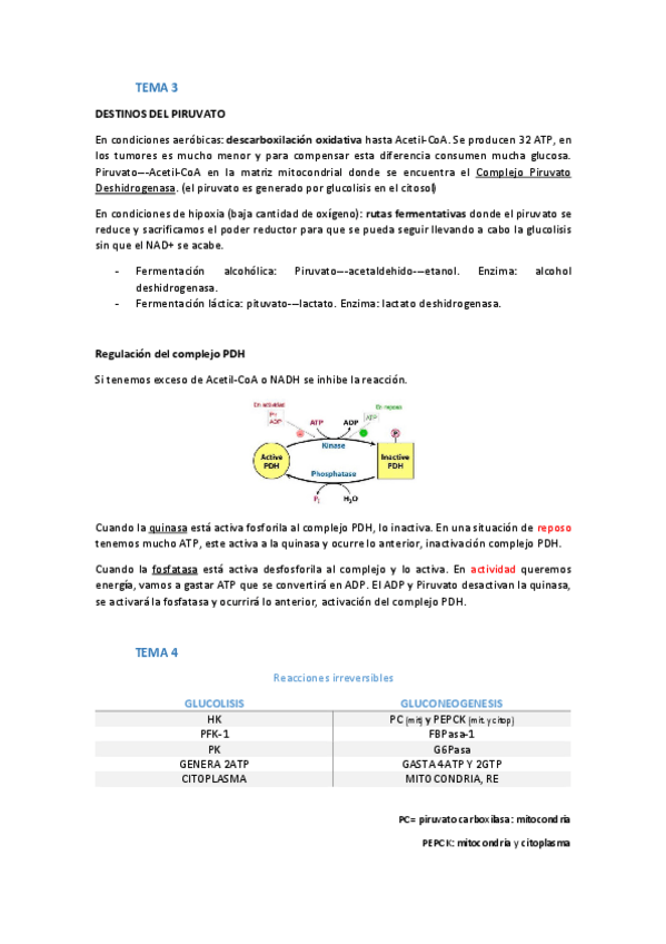Miniatura del documento RESÚMENES 1 PARTE BIOQUIMICA-II.pdf