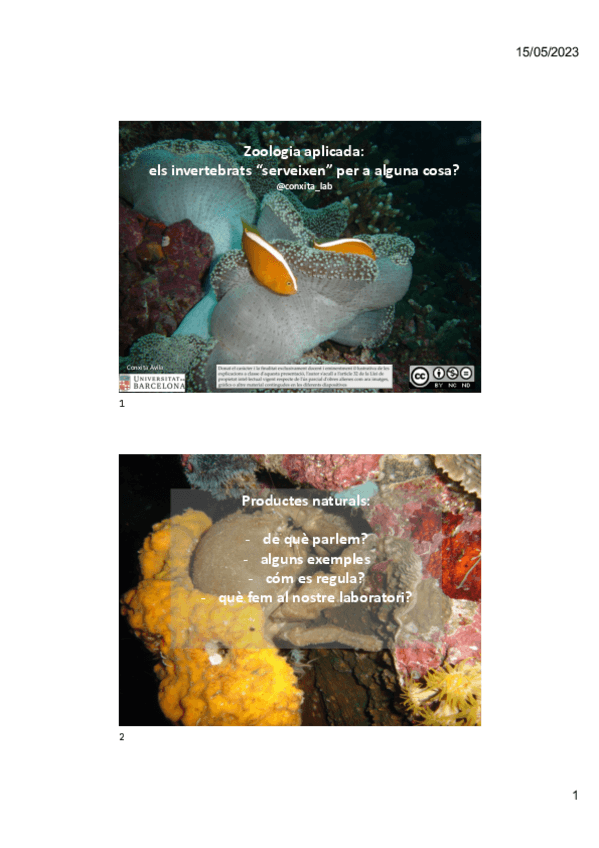 Miniatura del documento Invertebrats.pdf