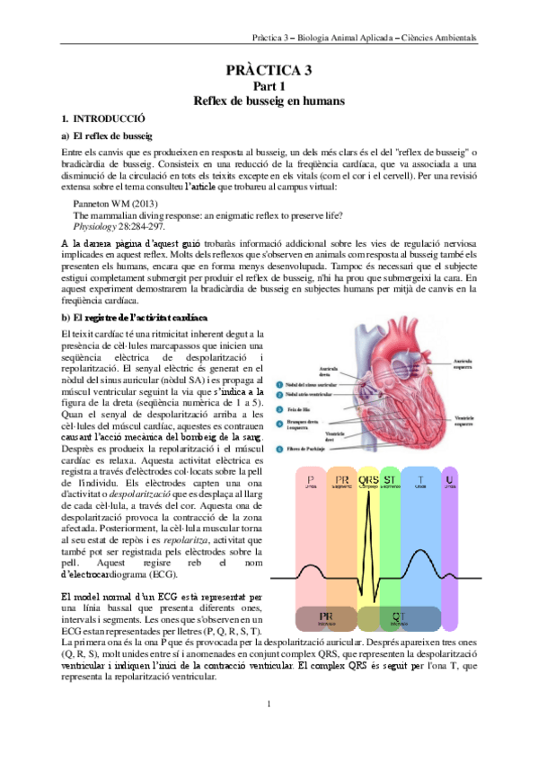 Miniatura del documento PTQ-3-BAA-2022-23-Busseig-i-Heterotermia.pdf