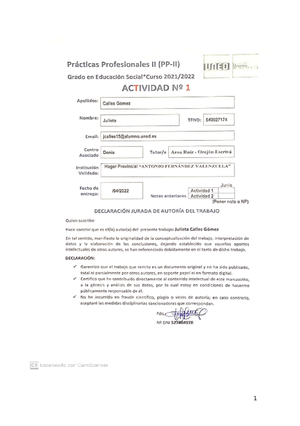 Miniatura del documento JULIETACALLESPPIIPEC1.docx