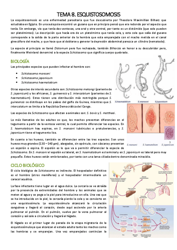 Miniatura del documento TEMA 8 - PARASITARIAS.pdf