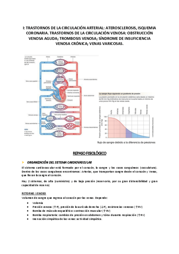 Miniatura del documento Bloque-Cardiovascular.pdf