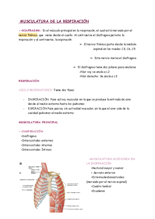 Miniatura del documento APUNTES-T.4.pdf
