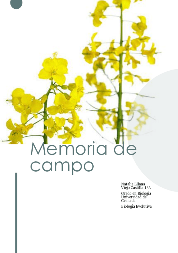 Miniatura del documento Memoria-de-campo.pdf