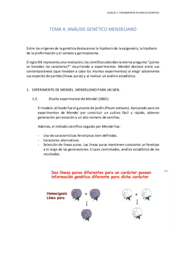 Miniatura del documento TEMA 4.pdf