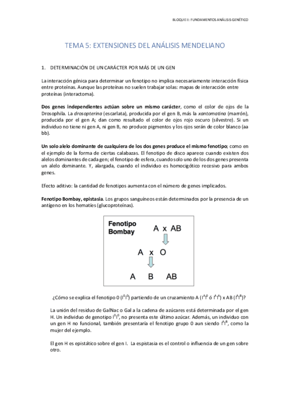 Miniatura del documento TEMA 5.pdf