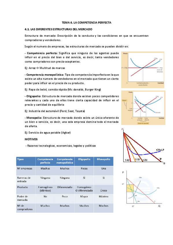 Miniatura del documento RESUMEN-TEMA-4-COMPETENCIA-PERFECTA.pdf
