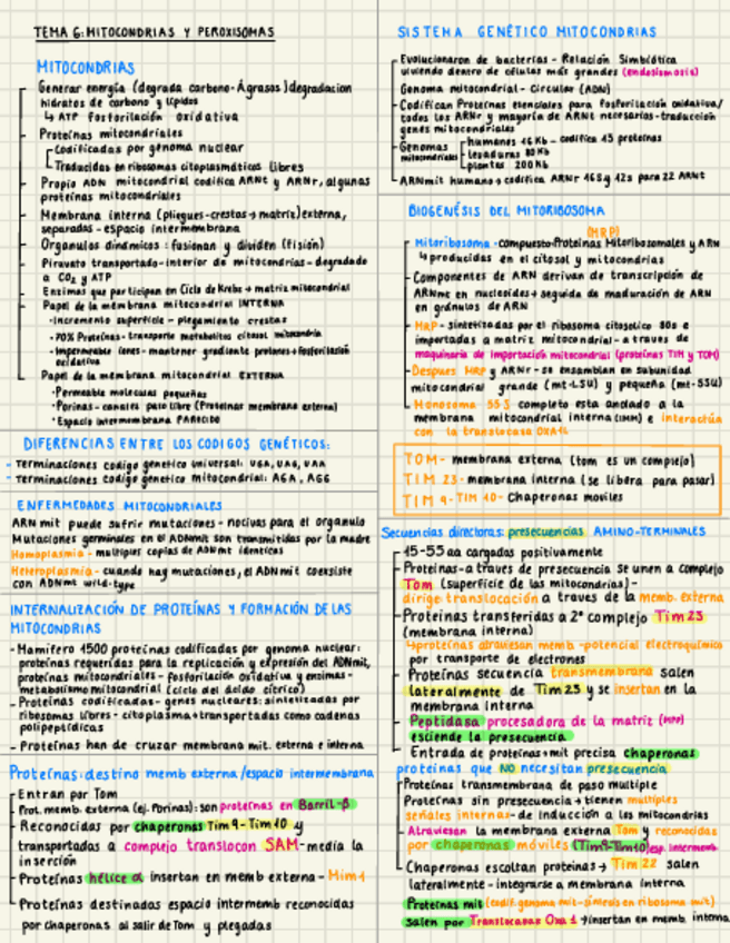 Miniatura del documento TEMA-6.pdf