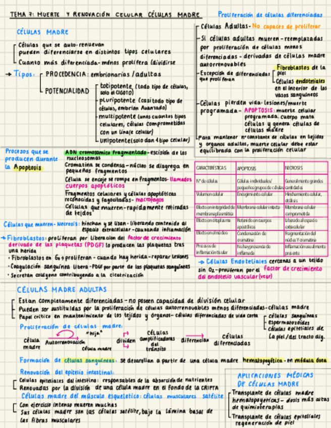 Miniatura del documento TEMA-7.pdf