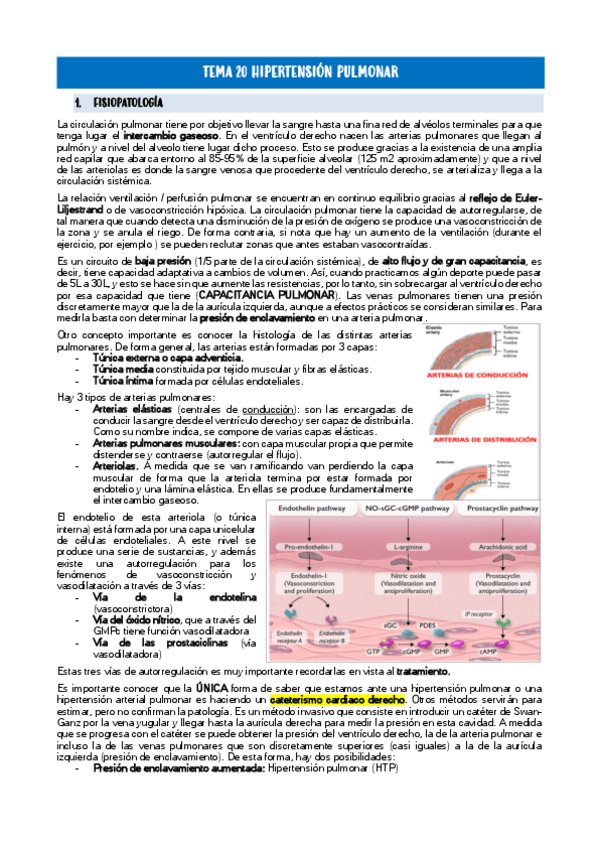 Miniatura del documento Modulo-6.pdf
