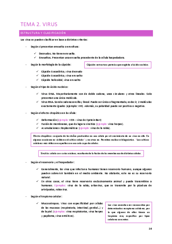 Miniatura del documento Tema-2.-Virus.pdf