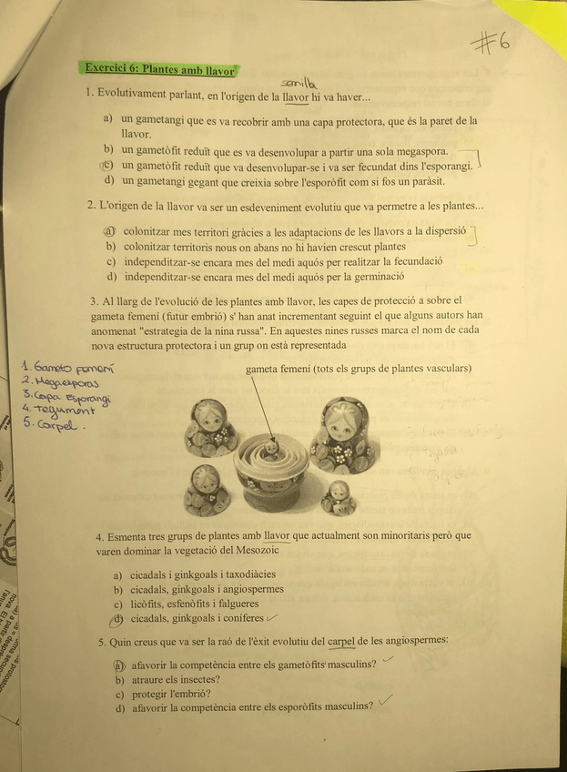 Miniatura del documento IMG_3419.jpg