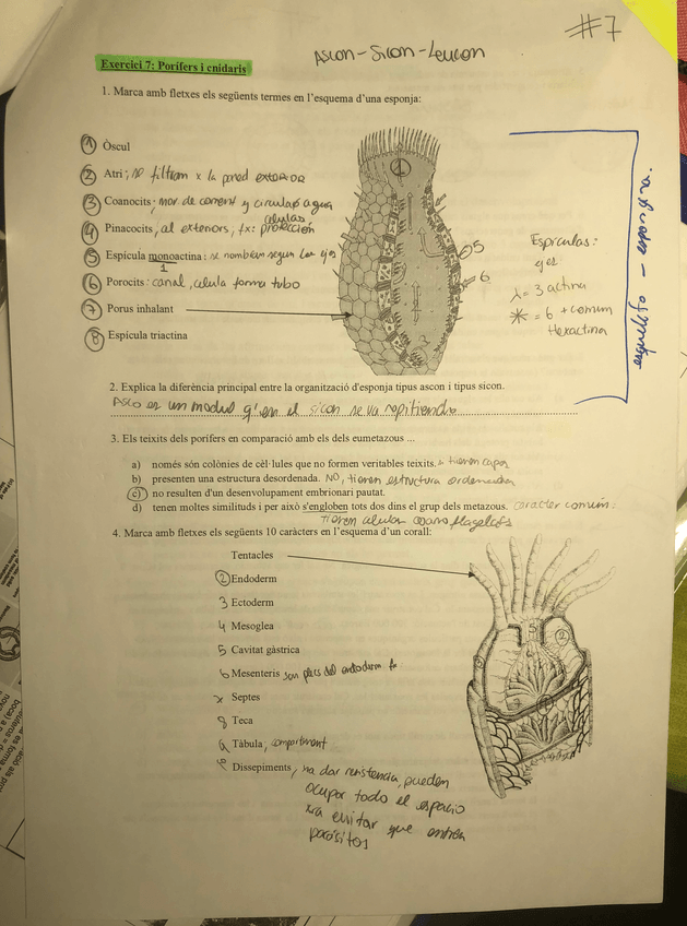 Miniatura del documento IMG_3421.jpg