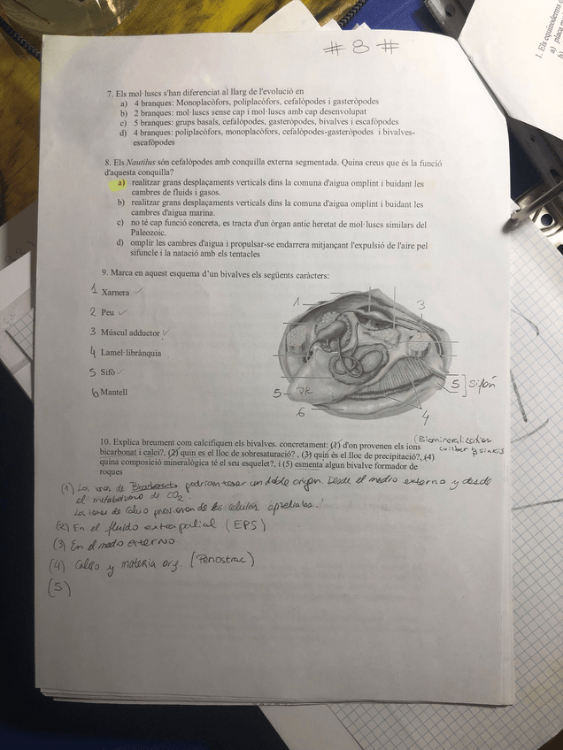 Miniatura del documento IMG_3424.jpg