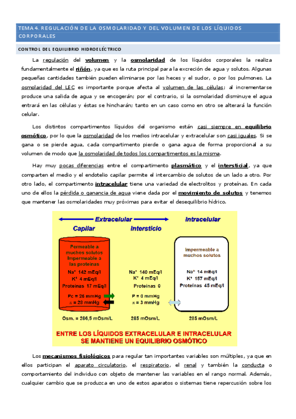 Miniatura del documento Tema-4-Regulacion-de-la-osmolaridad-y-volumen-de-los-liquidos-corporales.pdf