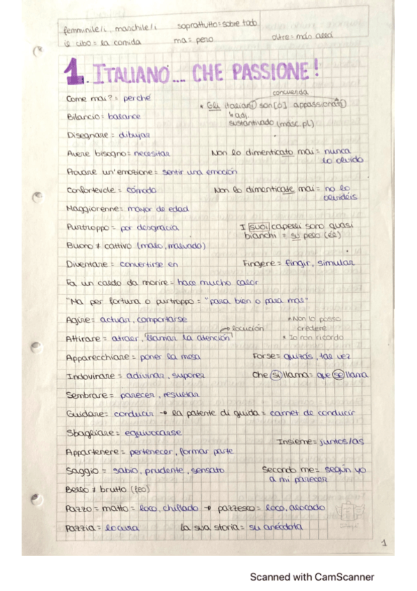 Miniatura del documento Vocabulario-Italiano3.pdf