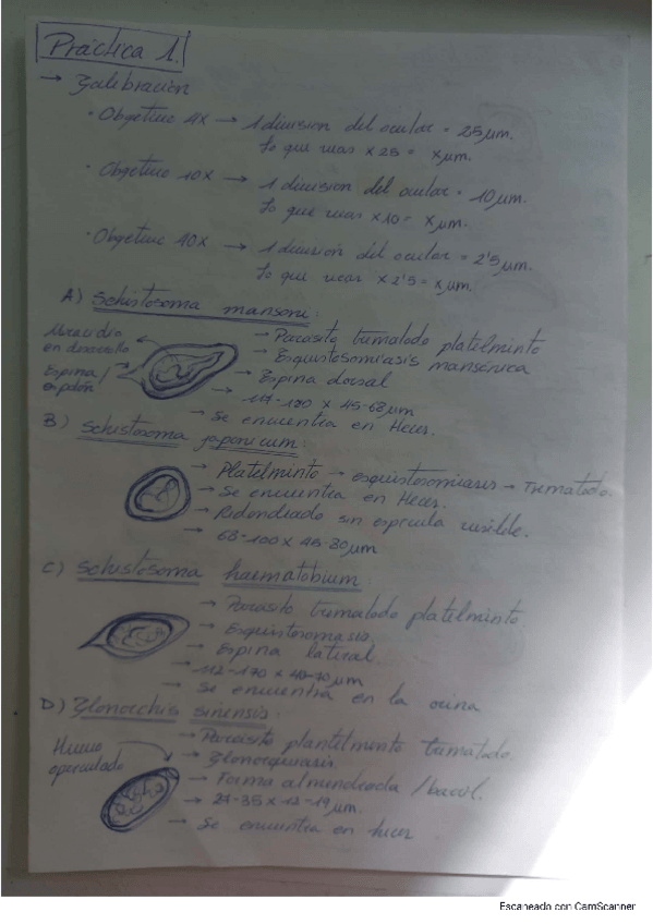 Miniatura del documento TODAS-LAS-MUESTRAS-DE-EXAMEN-DE-PARASITOLOGIA-MPC.pdf