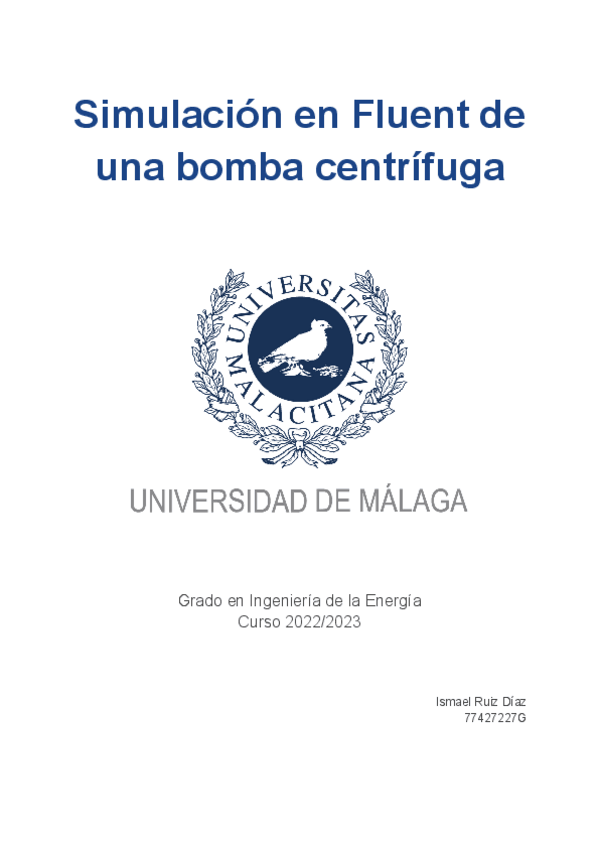 Miniatura del documento Informe-Practica-Fluent.pdf