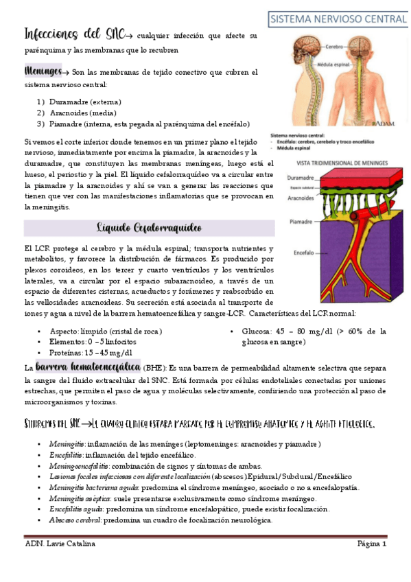 Miniatura del documento Infecciones-del-SNC.pdf