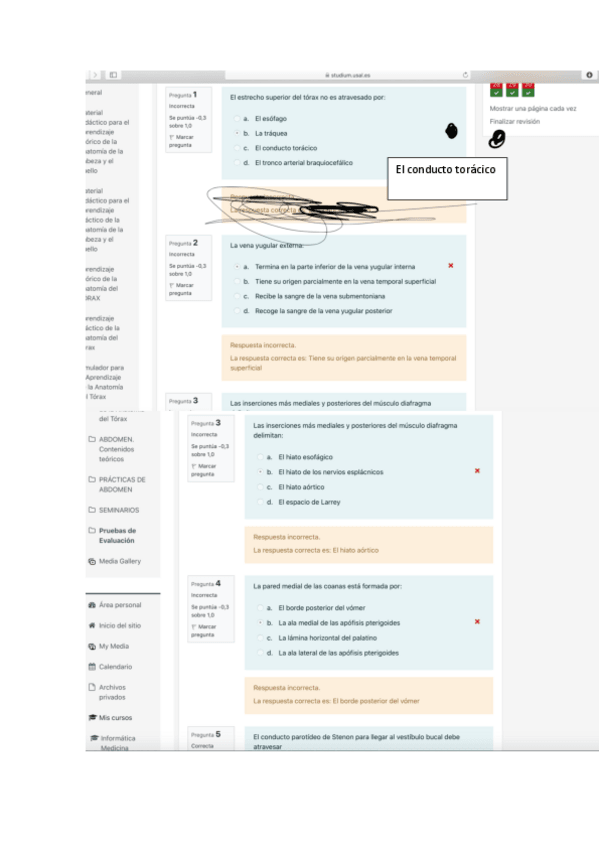Miniatura del documento parcial-cabeza-y-cuello-2022preguntas-teoria.pdf