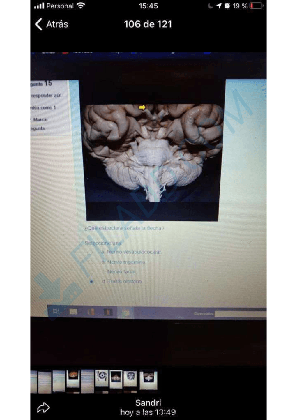 Miniatura del documento EXAMENES-ANATOMIA-PATOLOGICA-2.pdf