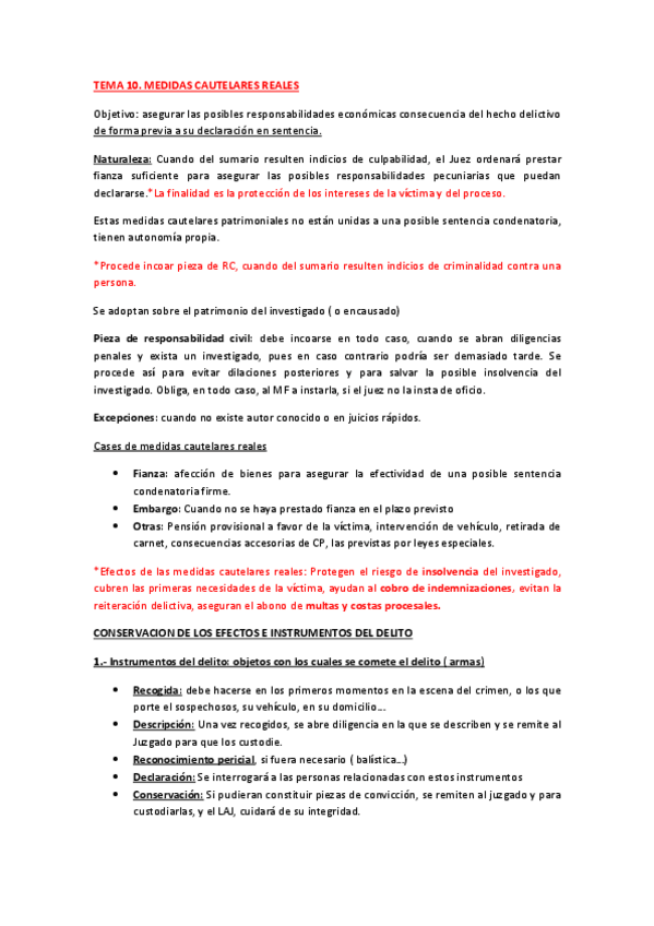 Miniatura del documento TEMA 10. MEDIDAS CAUTELARES REALES.pdf