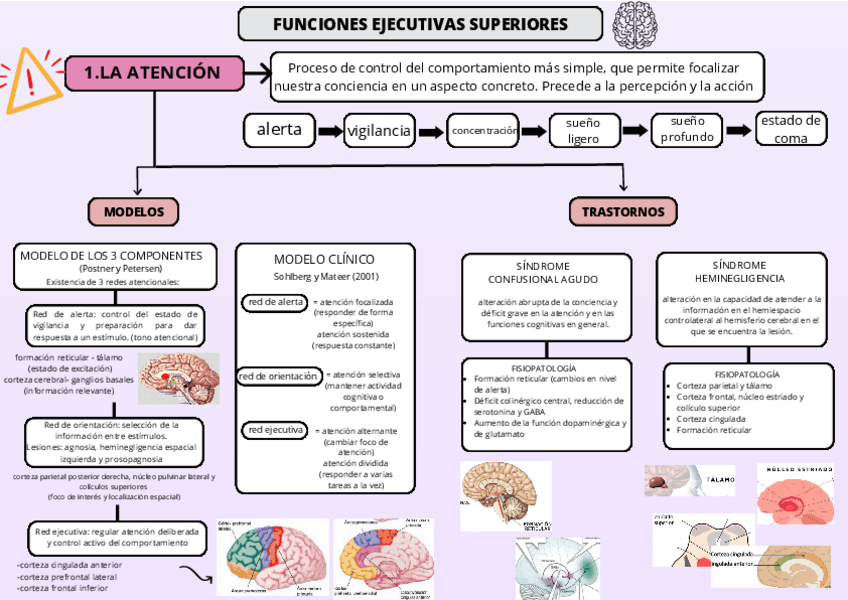 Miniatura del documento UC1-mapa-conceptual.pdf
